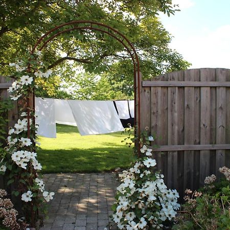 Safine B&B Fåborg Buitenkant foto