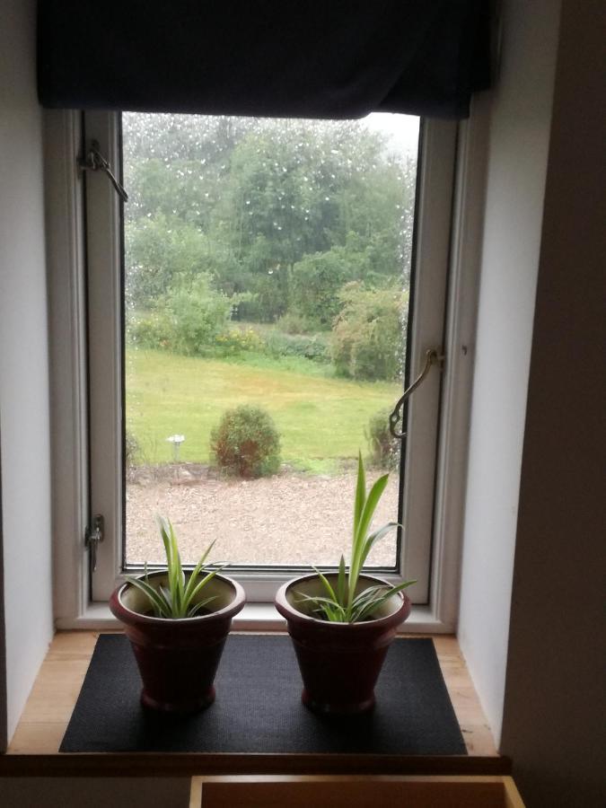 Safine B&B Fåborg Buitenkant foto