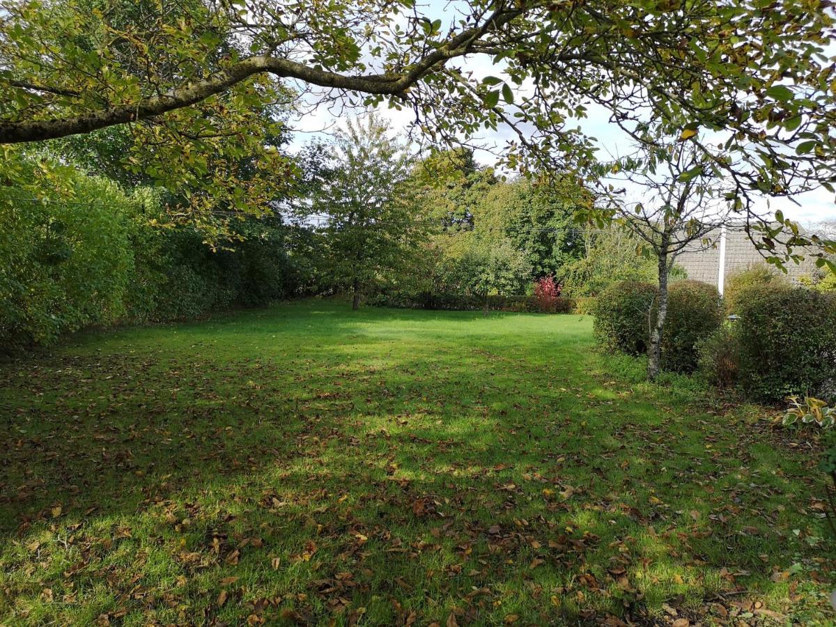 Safine B&B Fåborg Buitenkant foto